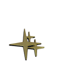 Gold Star Pin